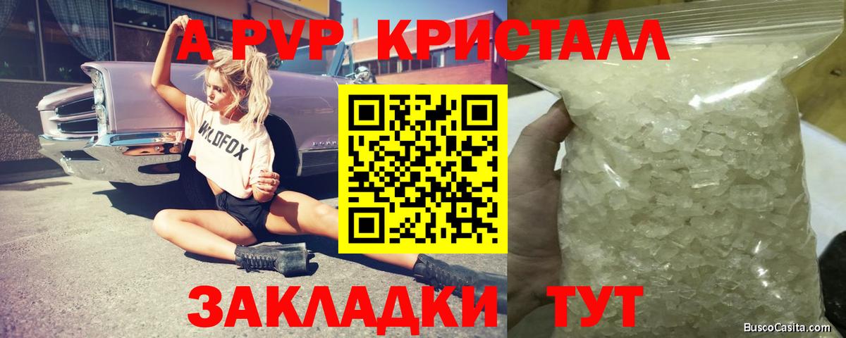 Армавир  Alfa_PVP СК  Вход с VPN  Альфа ПВП крисы CK 