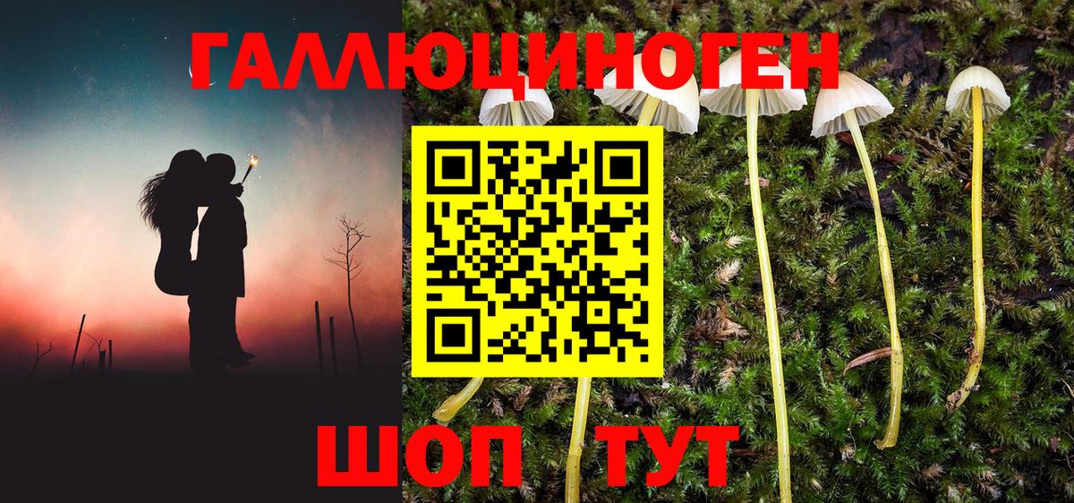Галлюциногенные грибы ЛСД Армавир