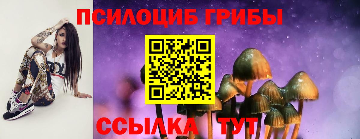 Галлюциногенные грибы Psilocybine cubensis  Вход с VPN  Армавир 